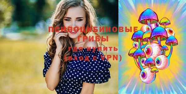 МДМА Заводоуковск