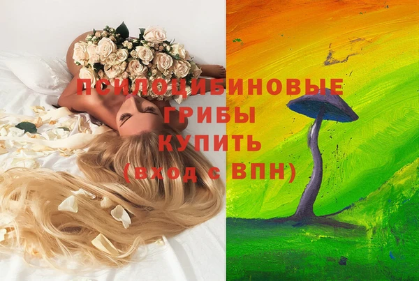 МДМА Заводоуковск