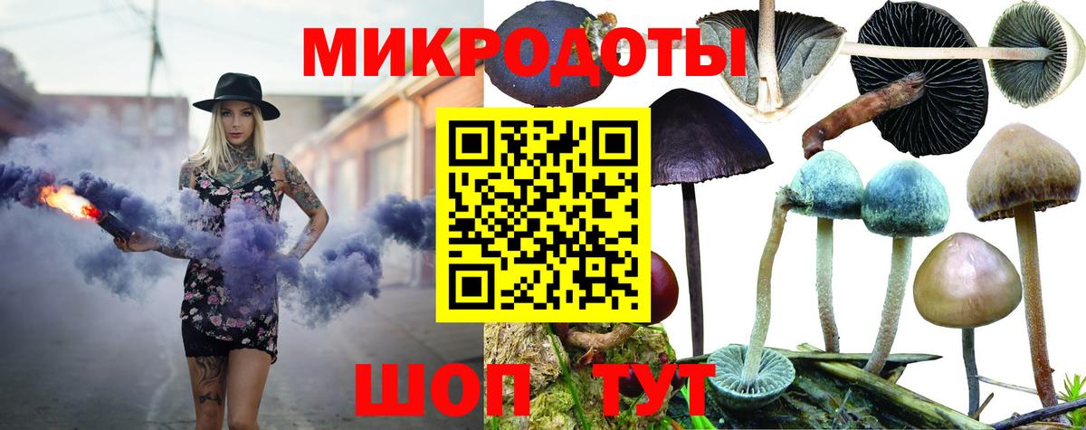 Истра  Псилоцибиновые грибы мицелий  Вход с VPN  наркошоп  Псилоцибиновые грибы мицелий 